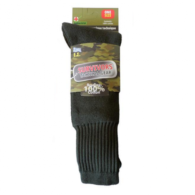 00221_bambakeres-ladi_800