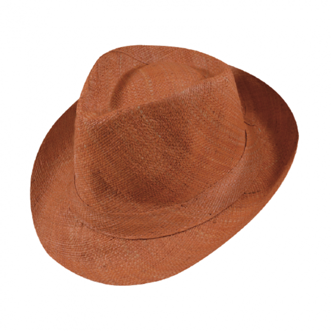 10003_3_panama_20e_800